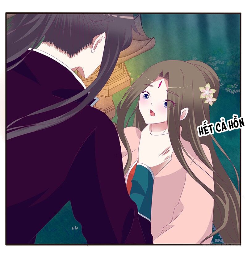 Thông Linh Phi: Chapter 333