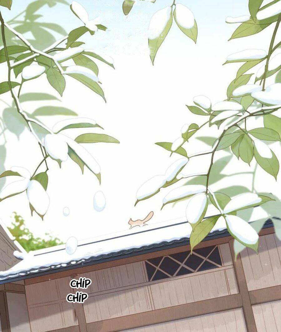 Sos! Tôi Đã Yêu Một Con Sâu Bướm (Phần 2): Chapter 2