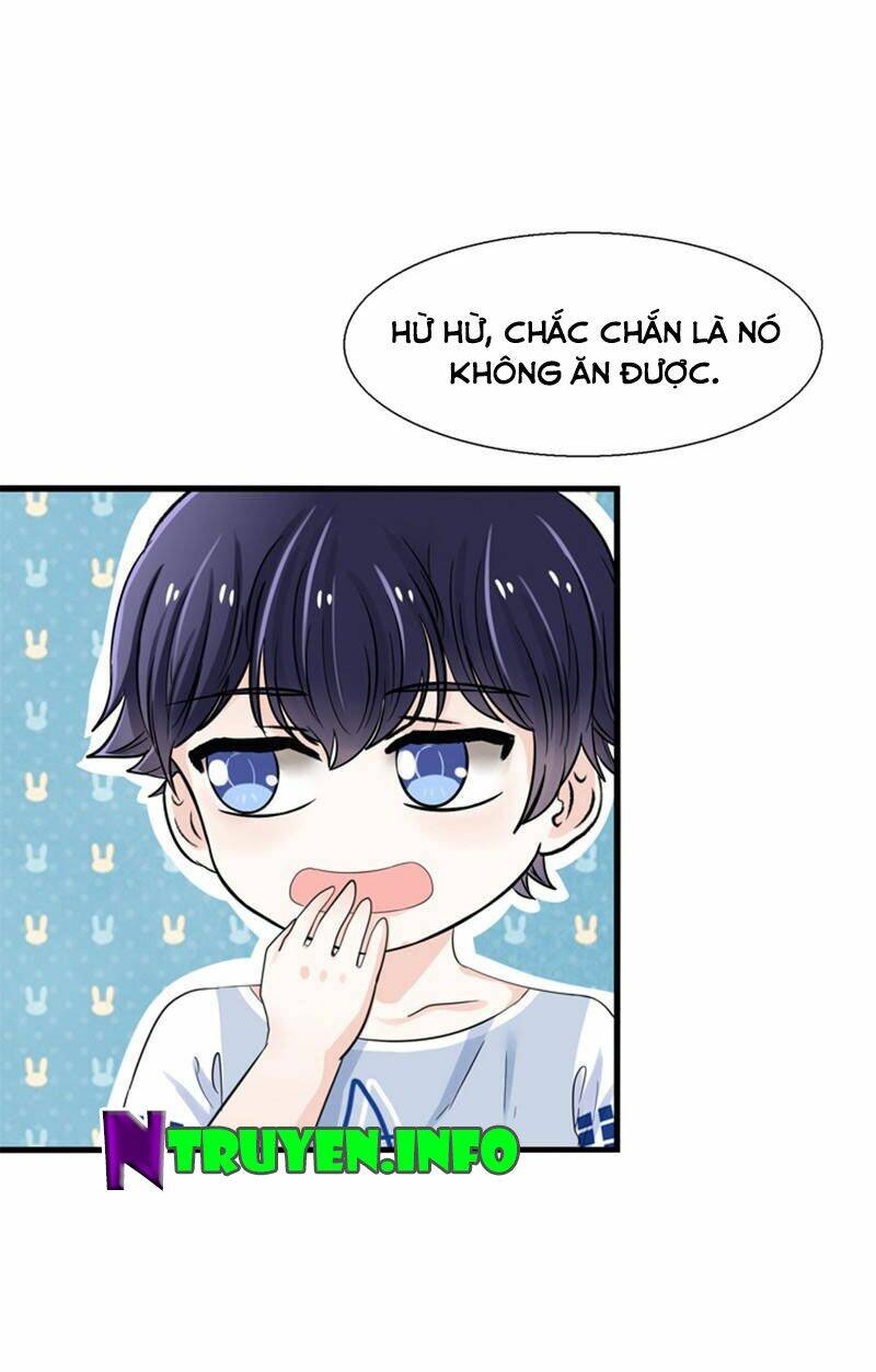 Tôi Bị Gấu Trúc Nhìn Trúng Rồi: Chapter 17