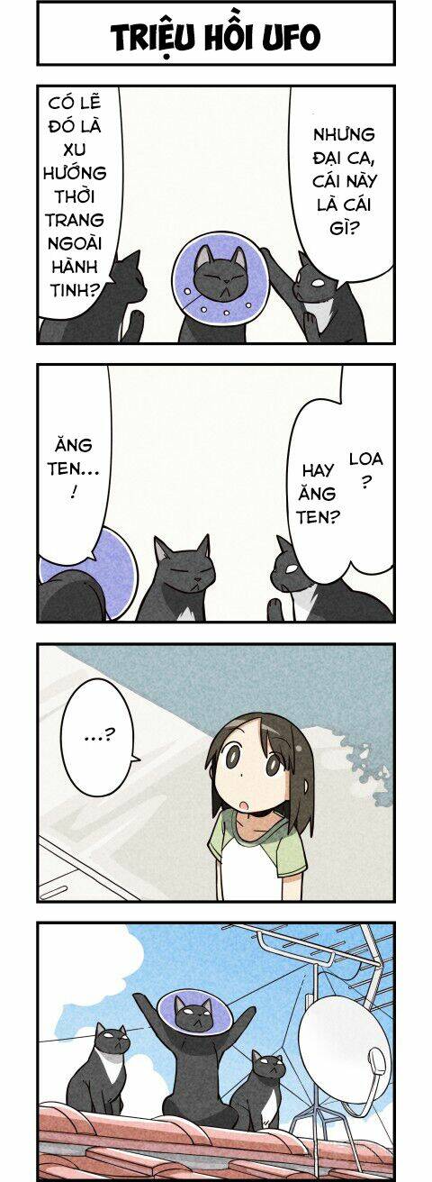 We Are Cat: Chapter 9