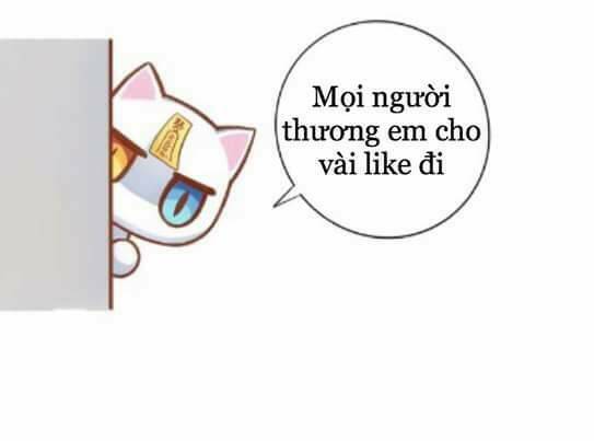 Dưới Móng Vuốt Mèo: Chapter 2