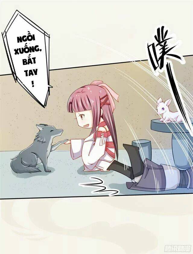 Tuyệt Thế Luyện Đan Sư: Chapter 17