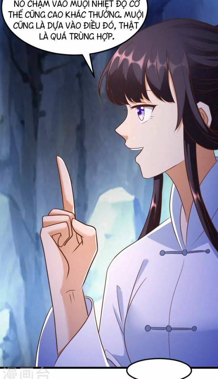 Chí Tôn Trọng Sinh: Chapter 178