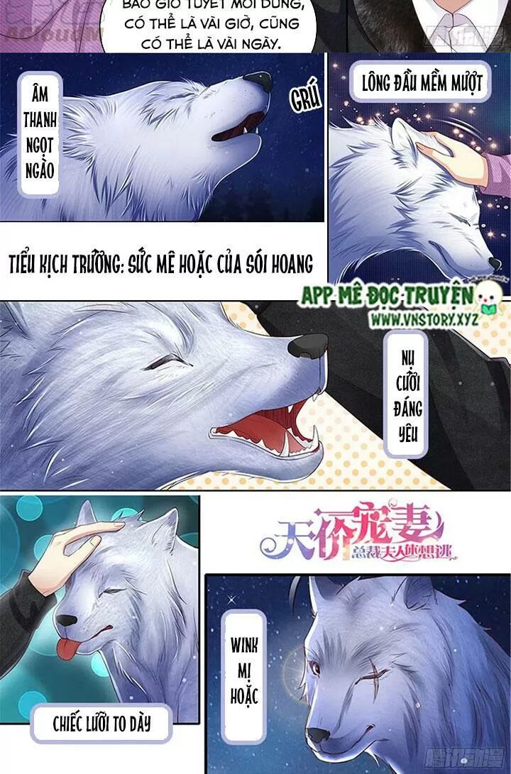 Cưng Chiều Vợ Yêu: Chapter 309: Lần này phiền phức rồi