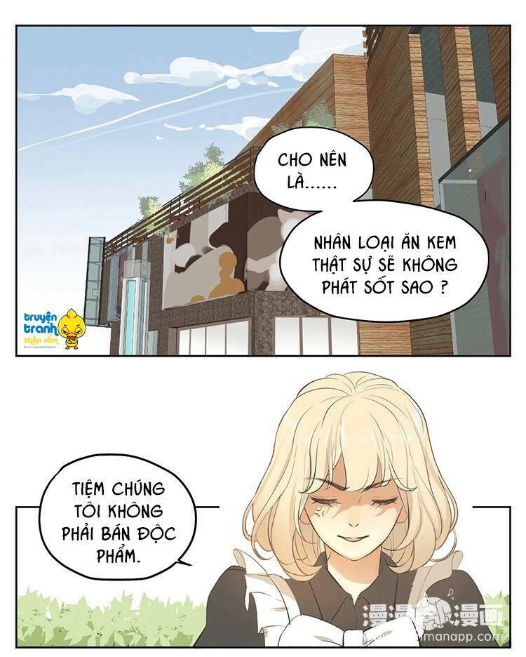 Cứu Mạng! Loài Mèo Thống Trị Thế Giới Rồi!: Chapter 17