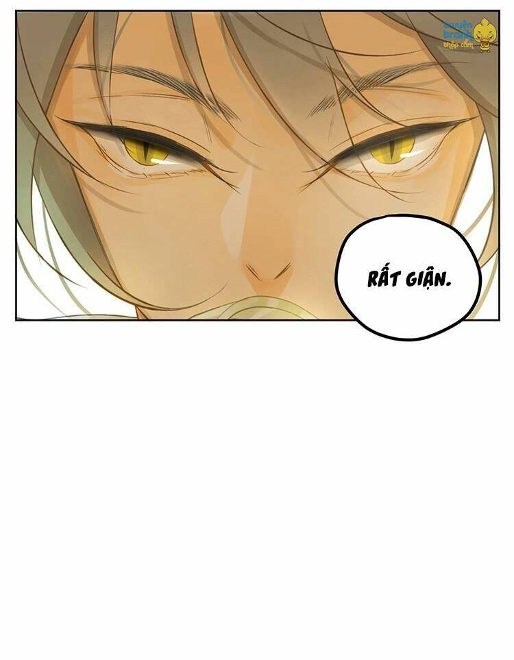 Cứu Mạng! Loài Mèo Thống Trị Thế Giới Rồi!: Chapter 19