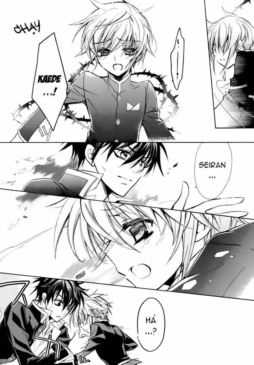 Nụ Hôn Của Công Chúa Tường Vi: Chapter 11