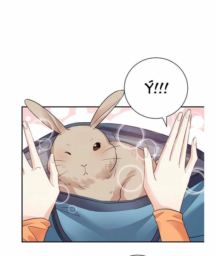 Trọng Sinh Để Ngủ Với Ảnh Đế: Chapter 212