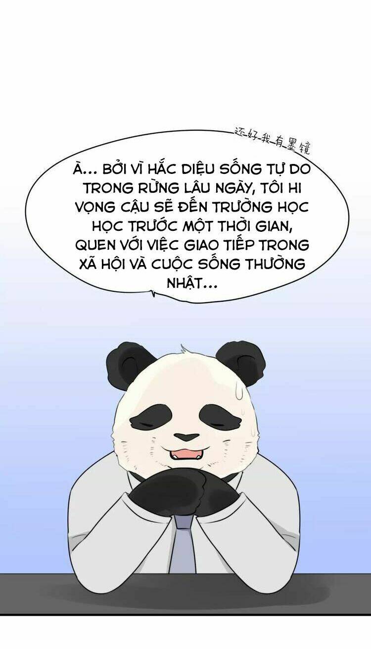 Tiểu Miêu Và Hắc Diệu Thạch: Chapter 3