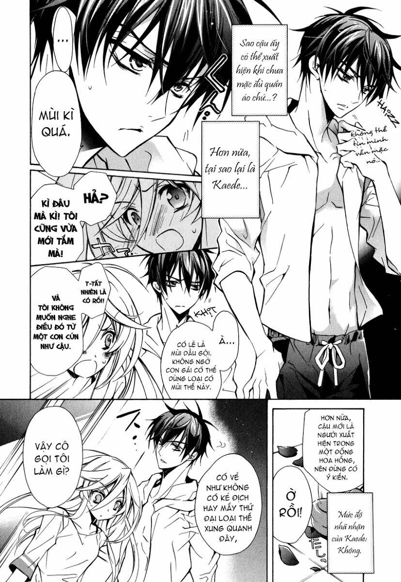 Nụ Hôn Của Công Chúa Tường Vi: Chapter 12