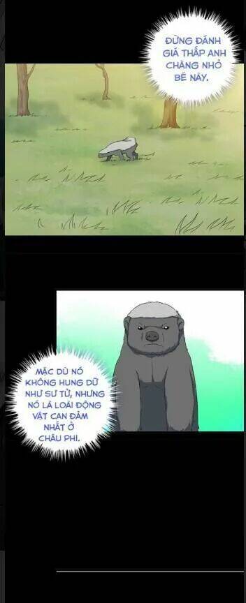 Vương Bài Bảo Tiêu: Chapter 4