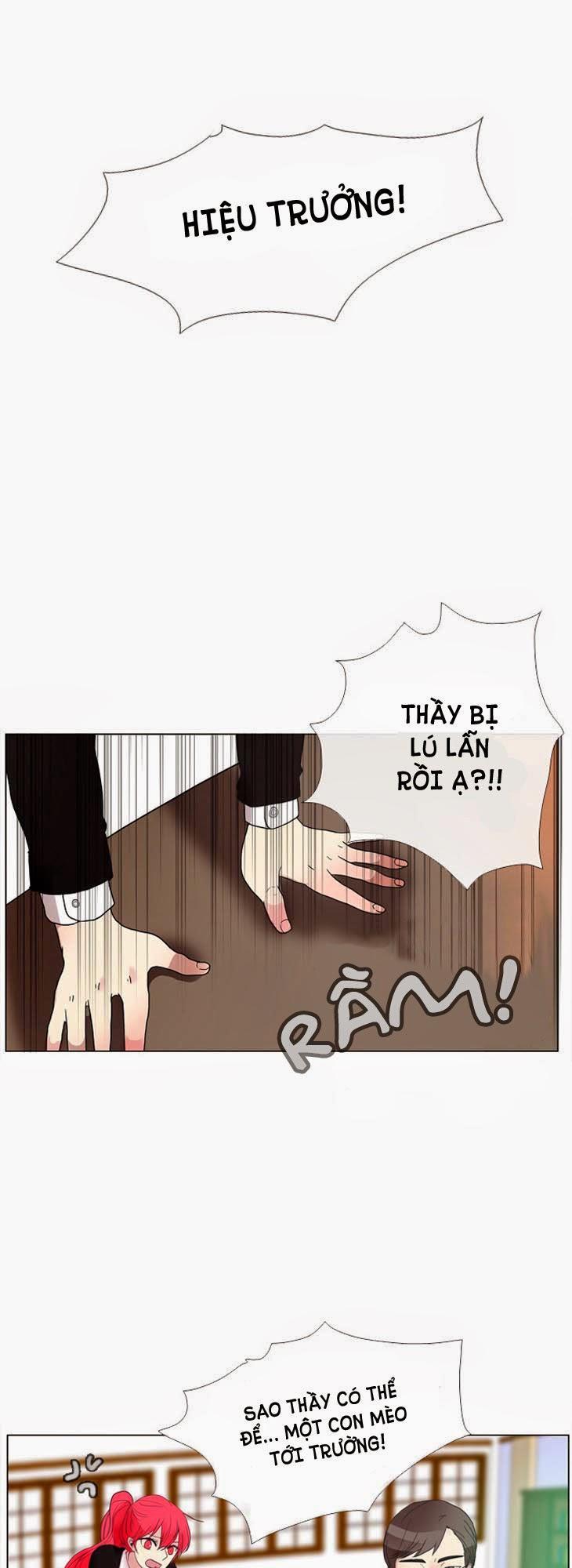 Flow: Chapter 7