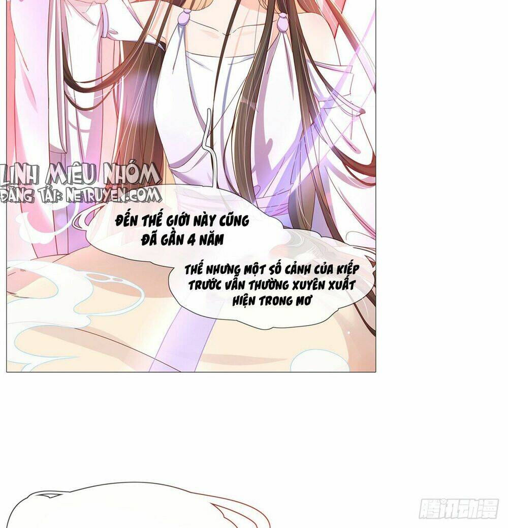 Vương Phi Tu Tiên: Đối Kháng Ma Vương: Chapter 3