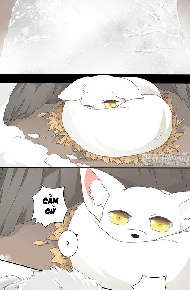Quy Tự Dao: Chapter 41