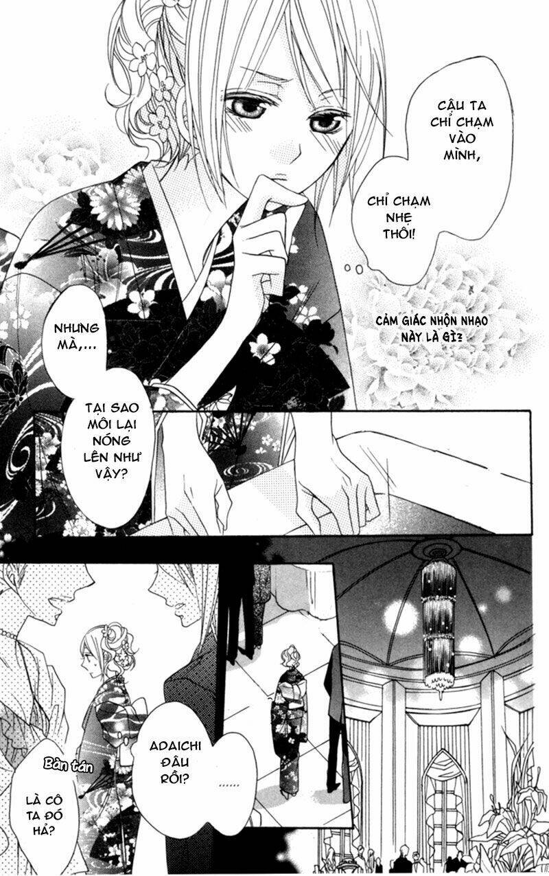 Hoa Hồng Hoang Dã: Chapter 5