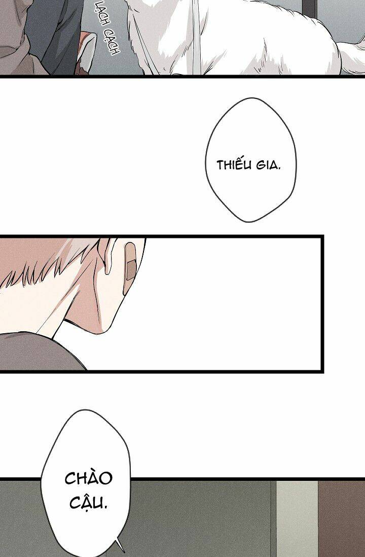 Trốn Tìm: Chapter 1