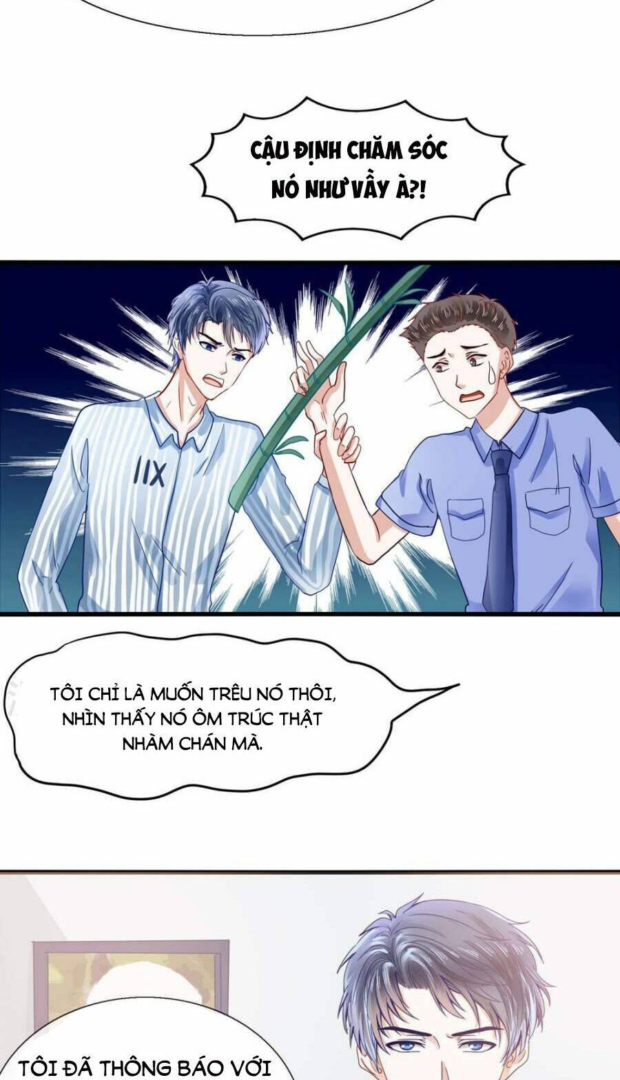 Tôi Bị Gấu Trúc Nhìn Trúng Rồi: Chapter 5