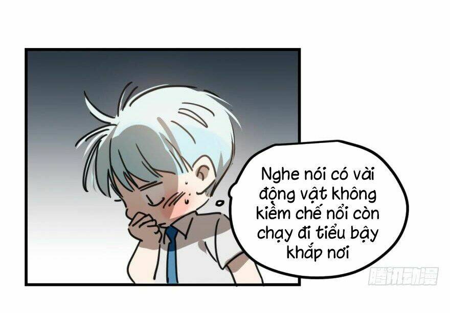 Truy Bắt Ngao Ngao: Chapter 11