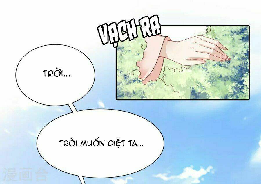 Phú Bà Bạc Tỷ Trong Lãnh Cung: Chapter 11
