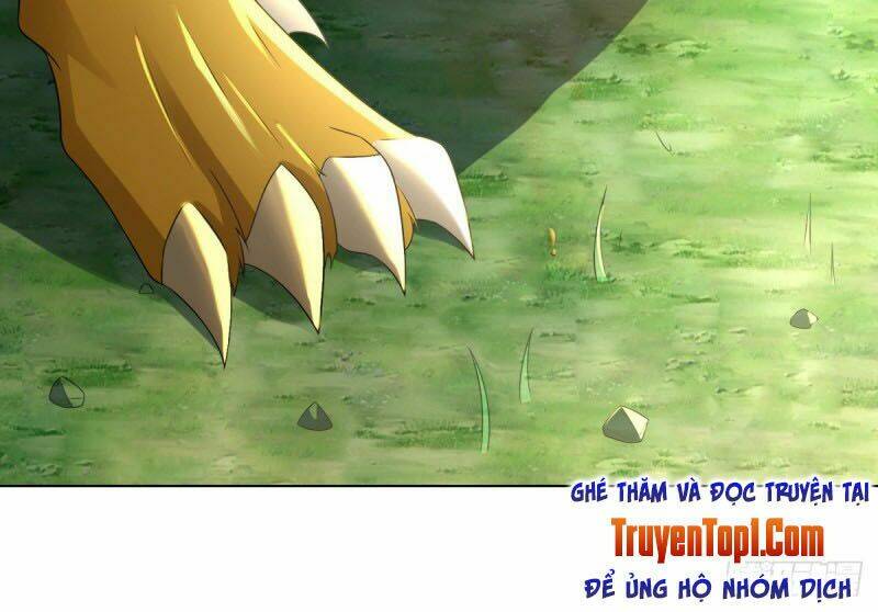 Chí Tôn Trọng Sinh: Chapter 65