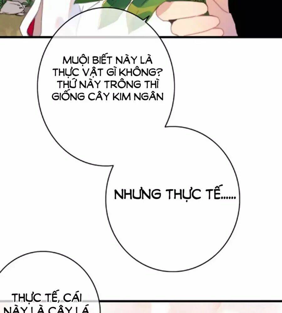 Dữ Tử Thành Thuyết: Chapter 25