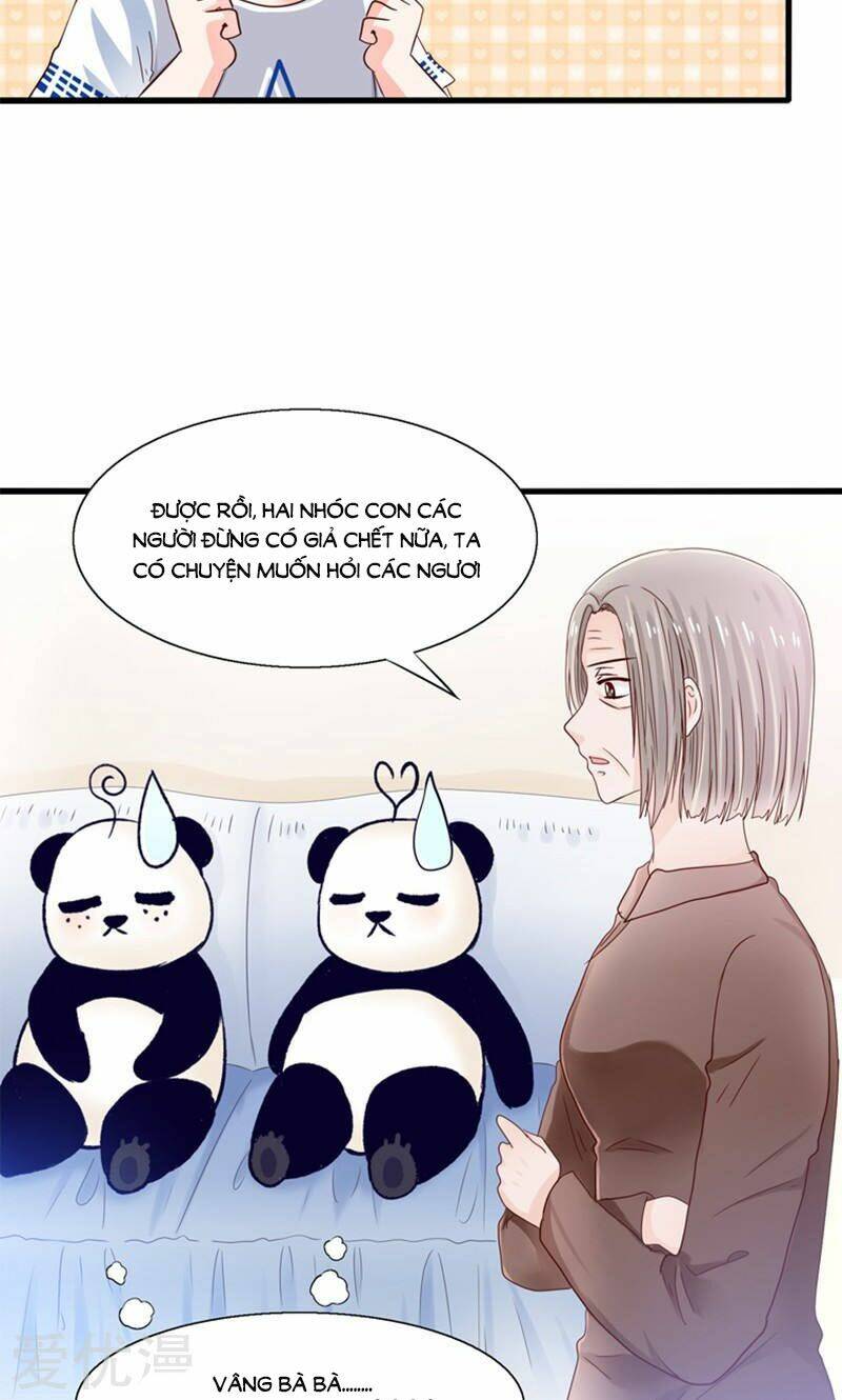 Tôi Bị Gấu Trúc Nhìn Trúng Rồi: Chapter 14
