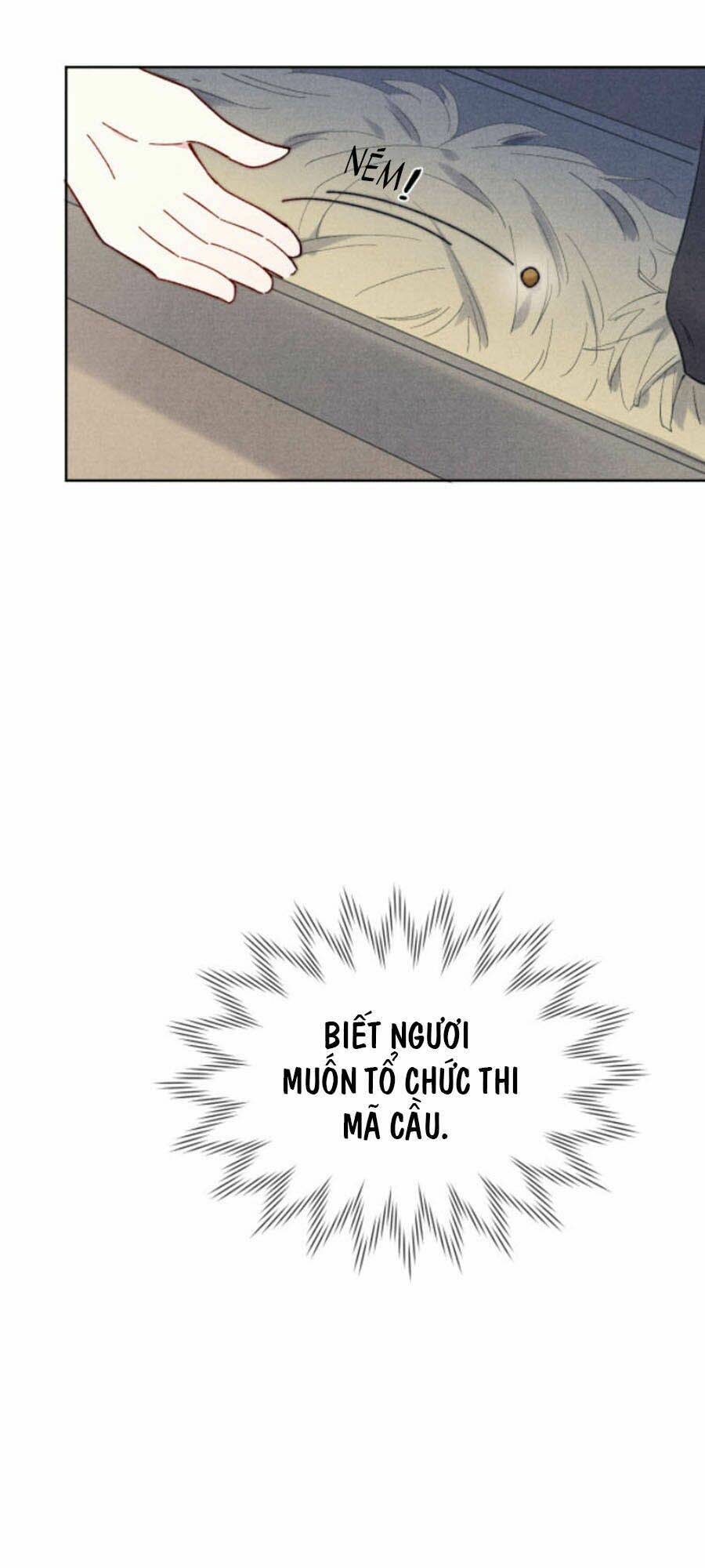 Quân Nhan Tựa Hoa Đào: Chapter 12