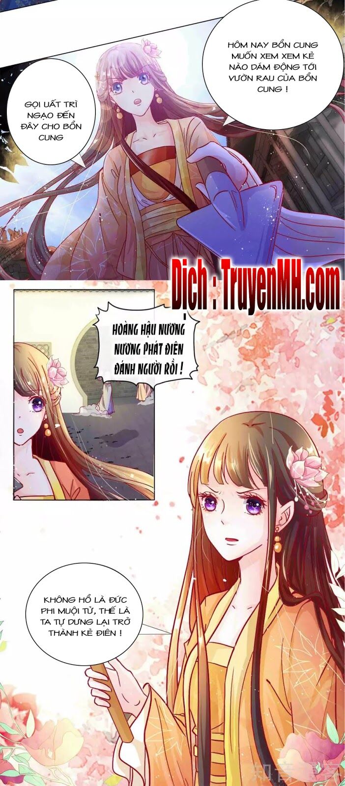Lãnh Cung Phế Hậu Muốn Nghịch Thiên: Chapter 2