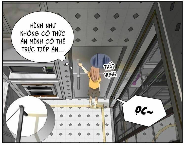 Cứu Mạng! Loài Mèo Thống Trị Thế Giới Rồi!: Chapter 9
