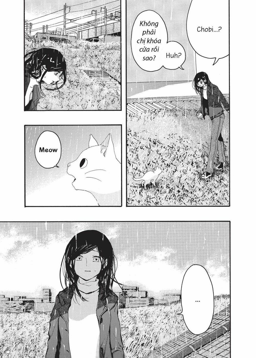 Chú Mèo Và Cô Chủ: Chapter 4