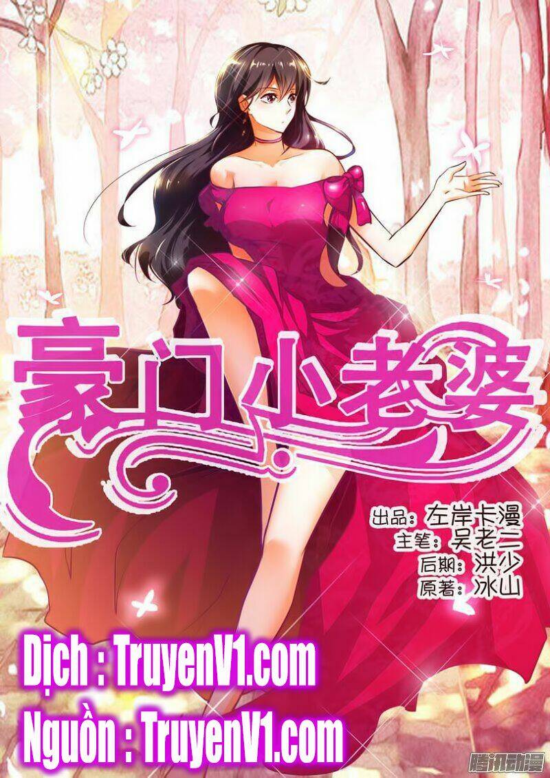 Hào Môn Tiểu Lão Bà: Chapter 17