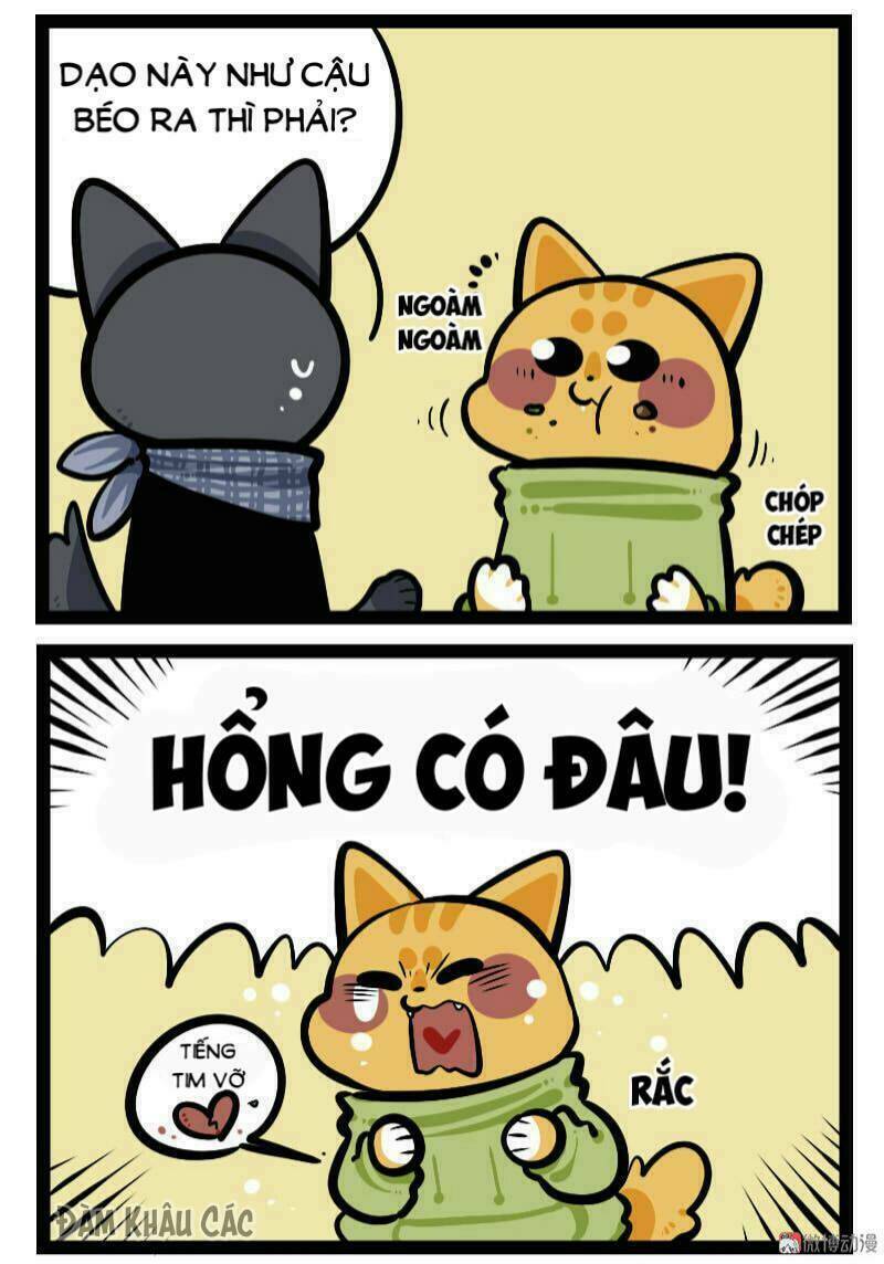 Đời Không Như Mình Tưởng: Chapter 60
