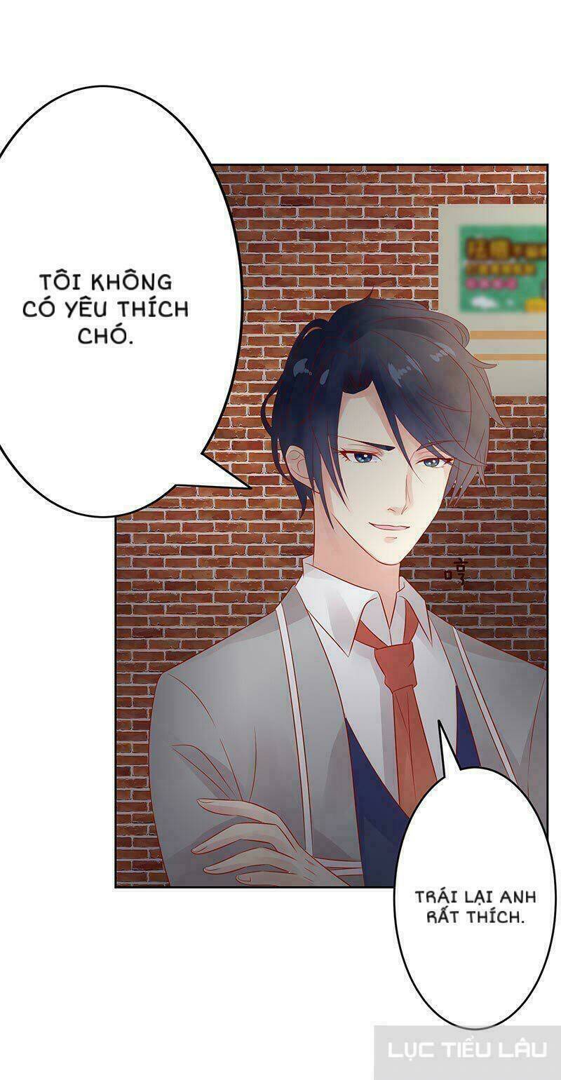 Băng Sơn Học Trưởng Không Được Chọc: Chapter 14