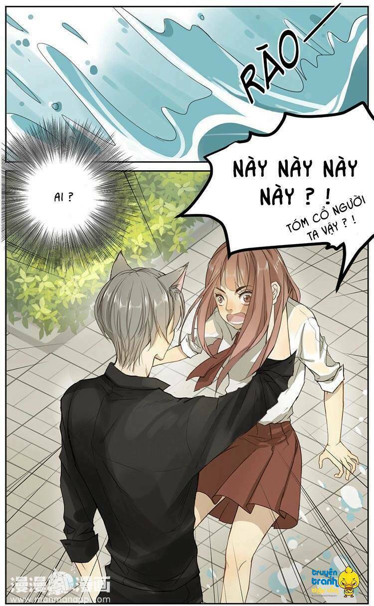 Cứu Mạng! Loài Mèo Thống Trị Thế Giới Rồi!: Chapter 2