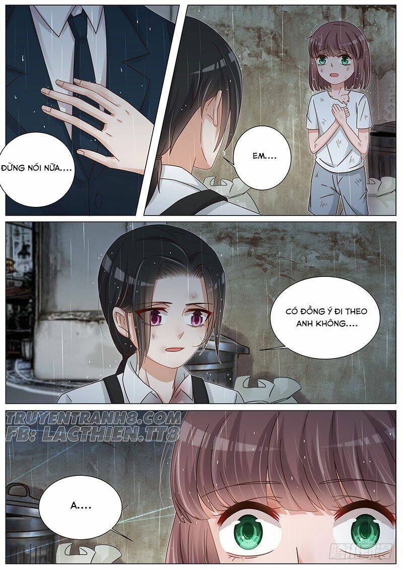 Vương Bài Giáo Thảo: Chapter 165