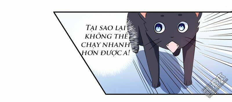 Miêu Vương Tại Thượng: Chapter 3