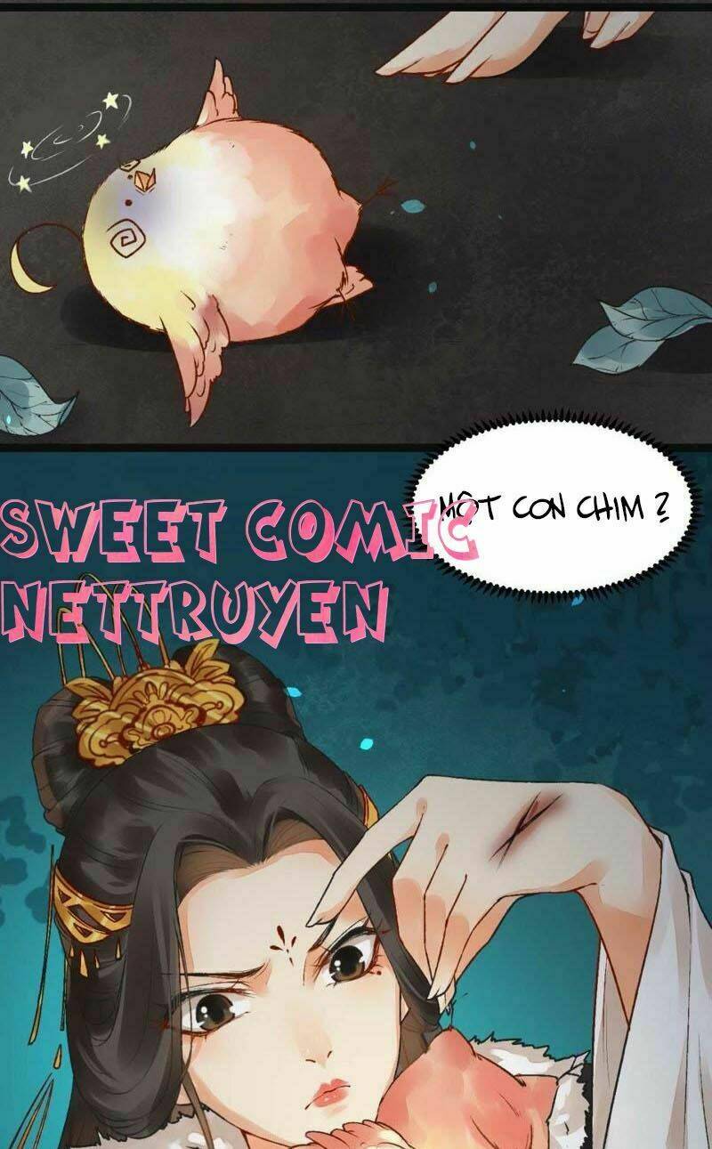 Thịnh Sủng Kiều Nữ Trở Về Triều Ca: Chapter 5