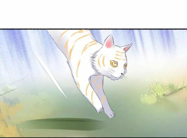 Cuồng Phi Phách Lối: Chapter 73