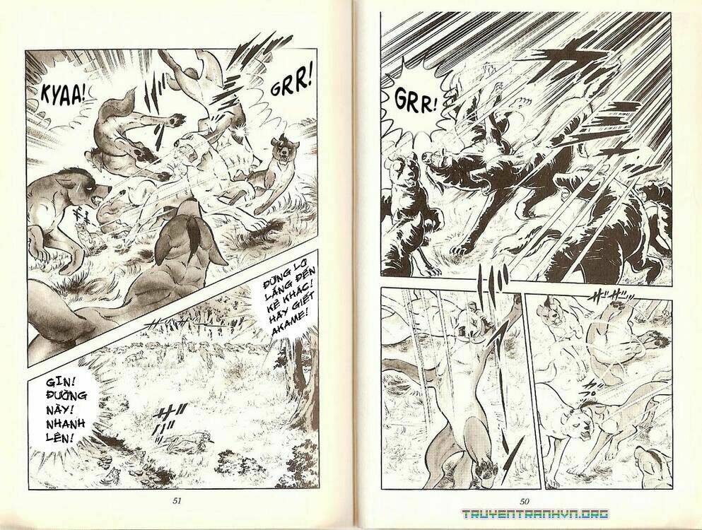 Chú Chó Có Nghĩa - Ginga Nagareboshi Gin: Chapter 19