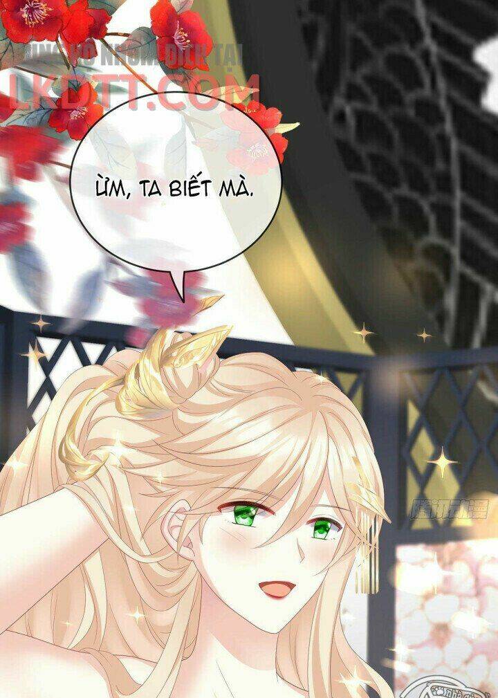 Kiều Phu Có Hỉ: Chapter 19