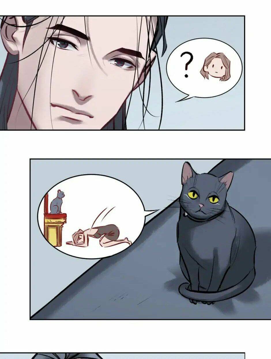 Anh Hùng Và Hiệp Nữ: Chapter 4