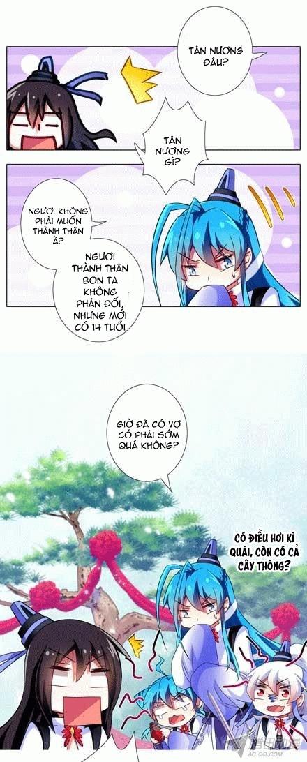 Đầu Óc Đại Sư Huynh Của Ta Rất Đen Tối: Chapter 81