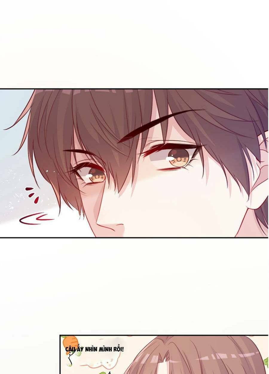 Khi Cô Gái Nhìn Thấy Thời Gian: Chapter 2