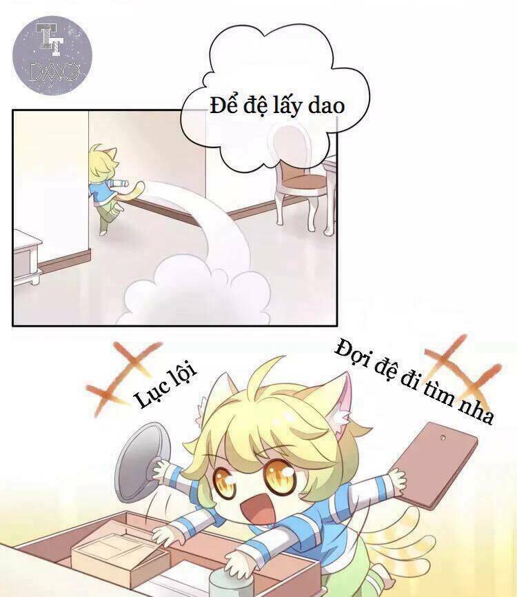 Dưới Móng Vuốt Mèo: Chapter 18