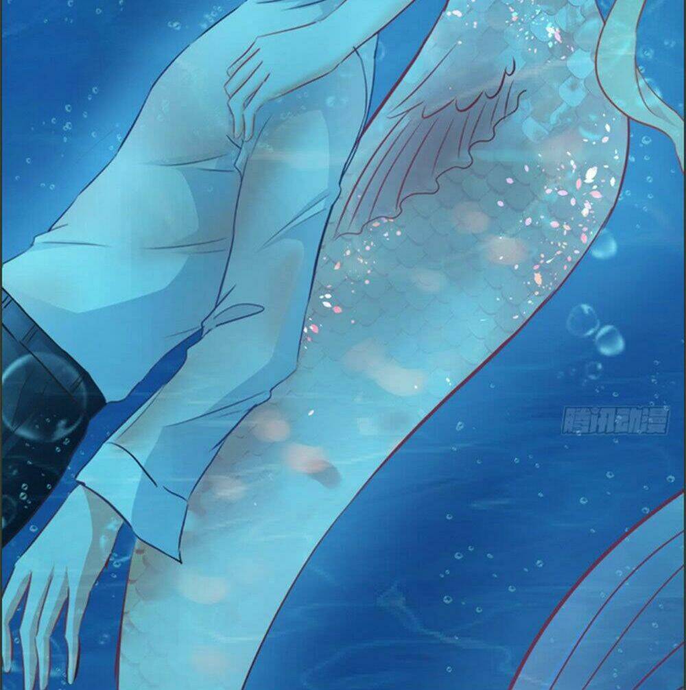 Cẩm Lý Thiếu Nữ Của Tôi: Chapter 9.4