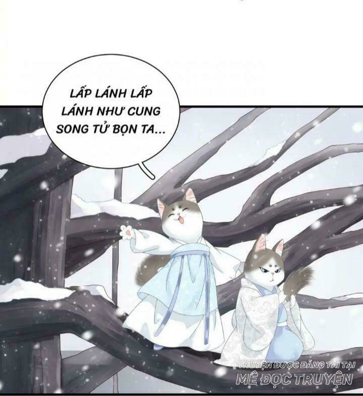 Xuyên Khê Nhập Mộng: Chapter 1