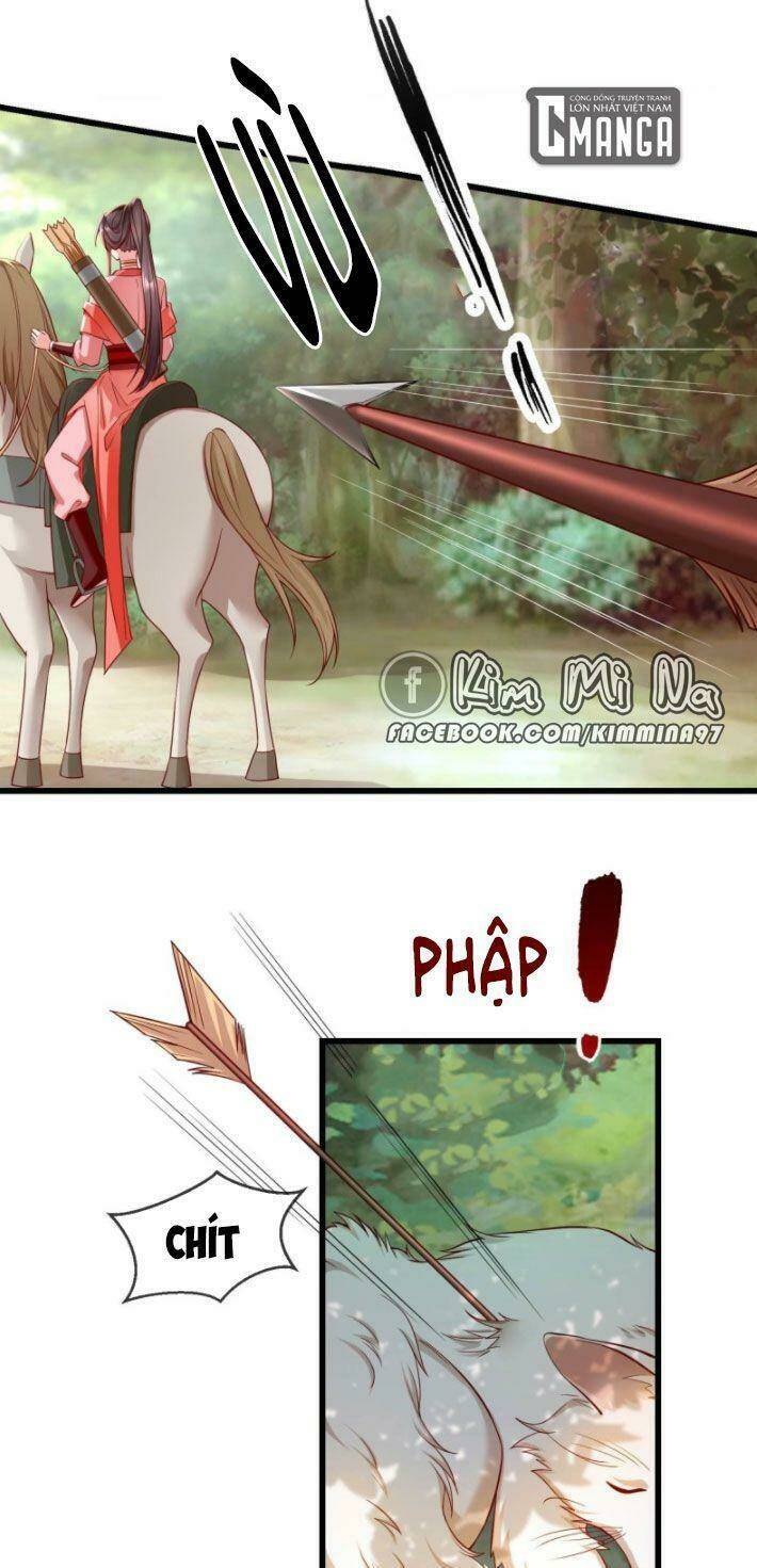 Vương Phi Là Đoá Bạch Liên Hoa: Chapter 31