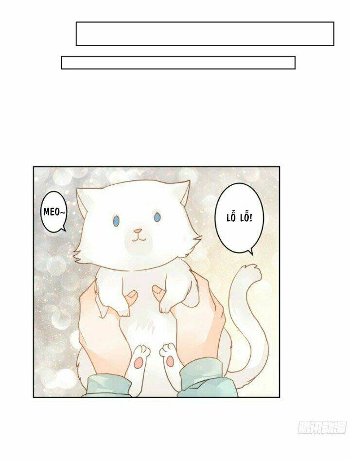 Ta Kim Chủ Bị Người Đoạt: Chapter 8