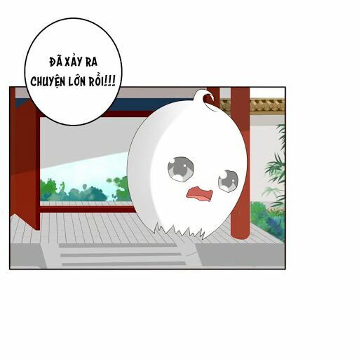 Thông Linh Phi: Chapter 211.5