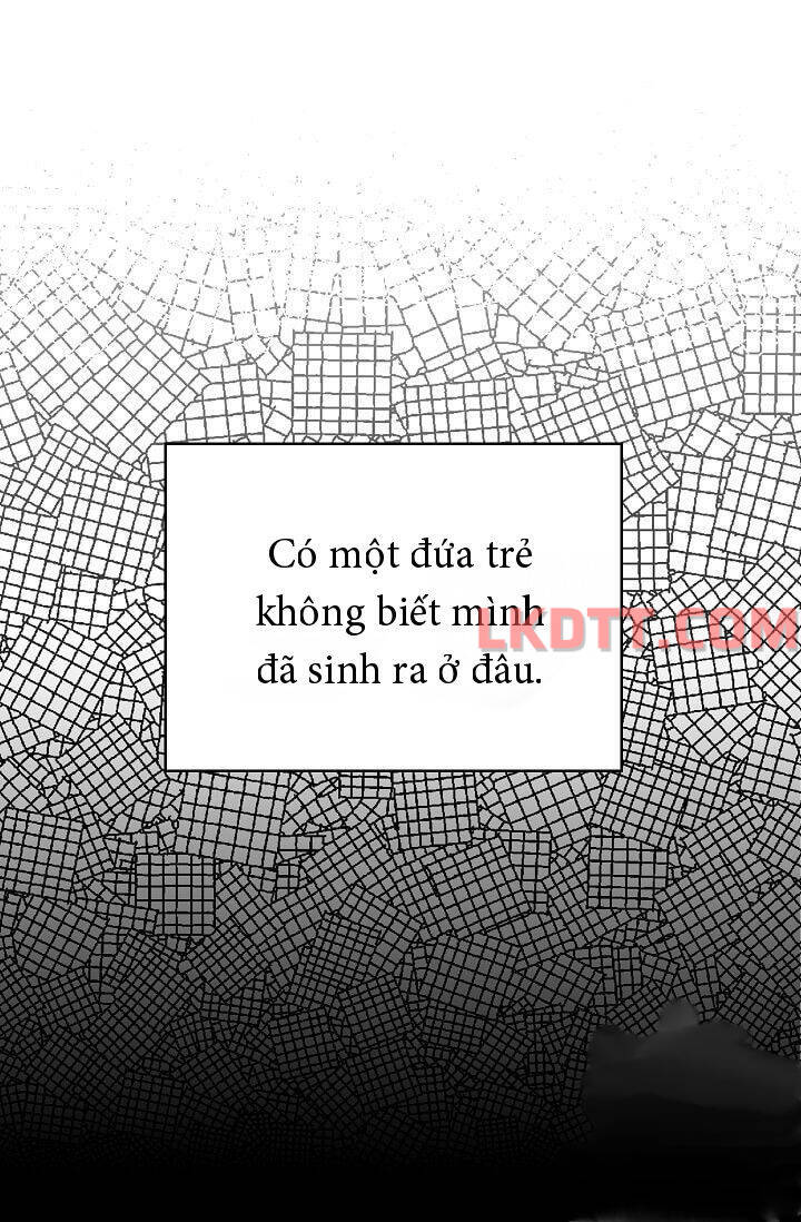 Đừng Xem Thường Nữ Phụ: Chapter 117